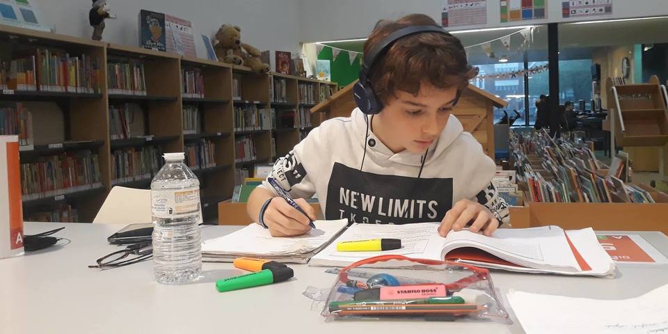 Scholier studeert in de bibliotheek
